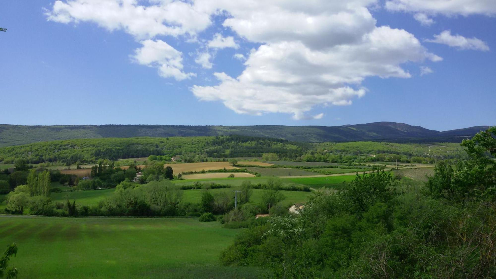 Le Grain De Lavande - Mont Ventoux Sault-de-Vaucluse Exterior foto